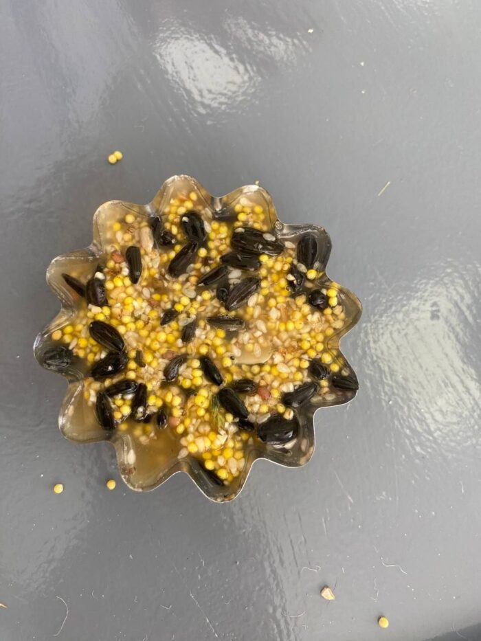 угощаем птиц зимой (6)