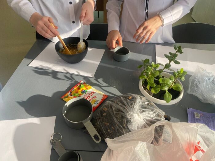 угощаем птиц зимой (7)