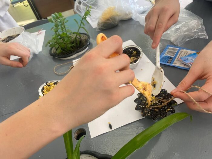 угощаем птиц зимой (8)