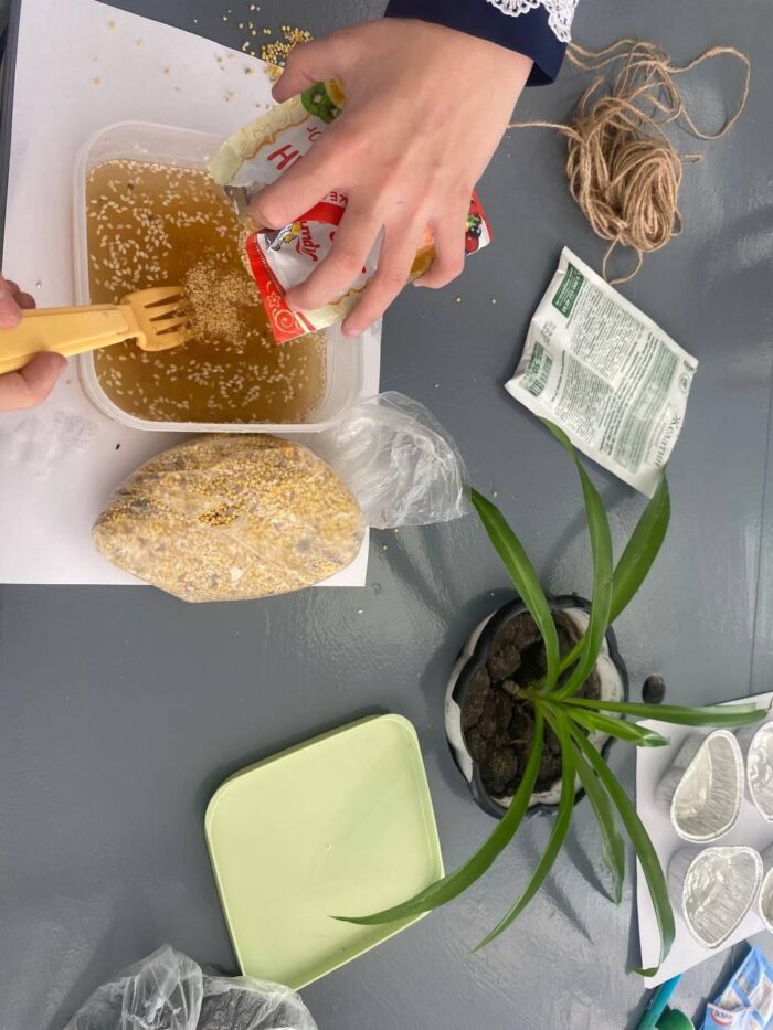 угощаем птиц зимой (9)