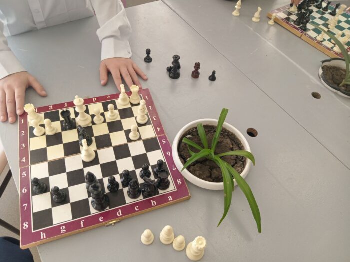 шахматный турнир (3)