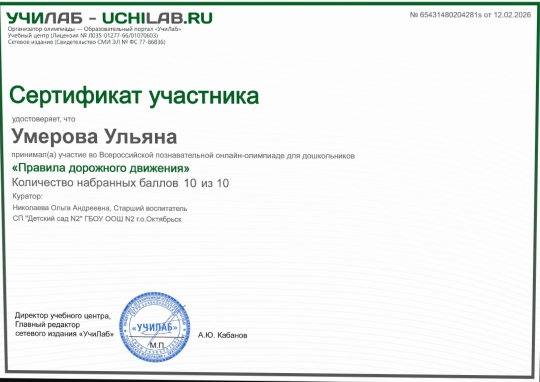 дорожная безопасность (10)