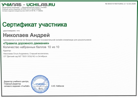 дорожная безопасность (11)