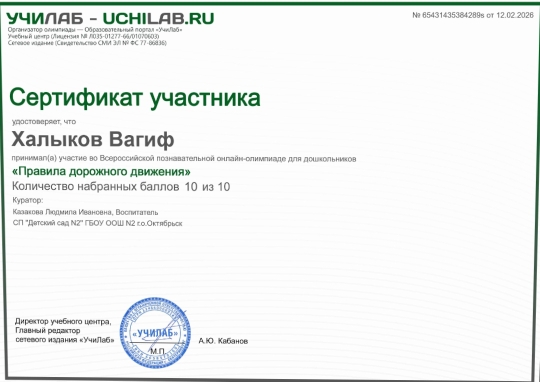 дорожная безопасность (5)