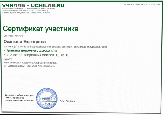 дорожная безопасность (6)