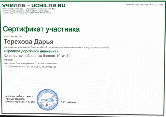 дорожная безопасность (7)