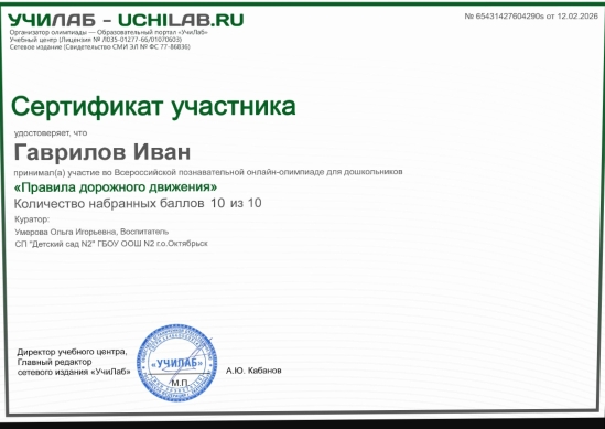 дорожная безопасность (9)