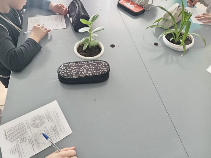 интеллектуально развлекательная игра «День российской науки» (5)