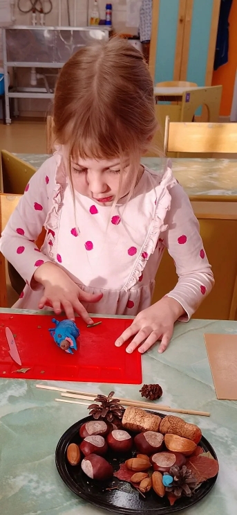 космофест сад 2 (1)