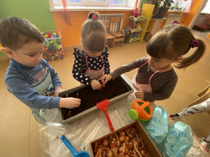 огород в саду (4)