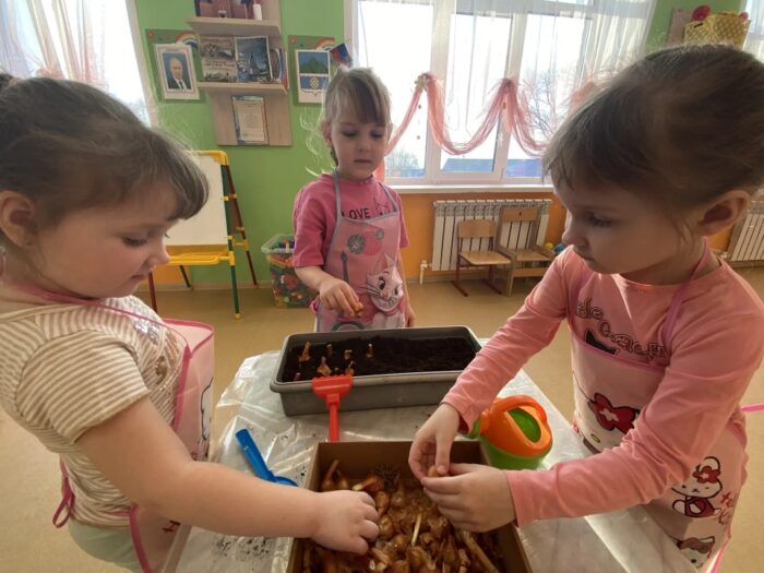 огород в саду (5)