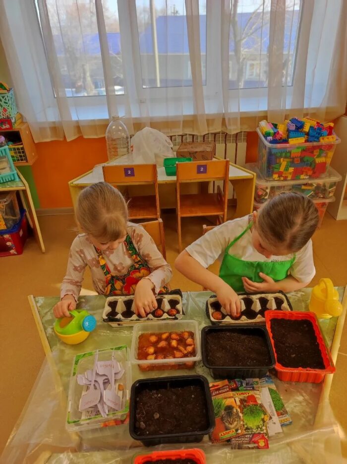 создание огорода в детском саду (1)