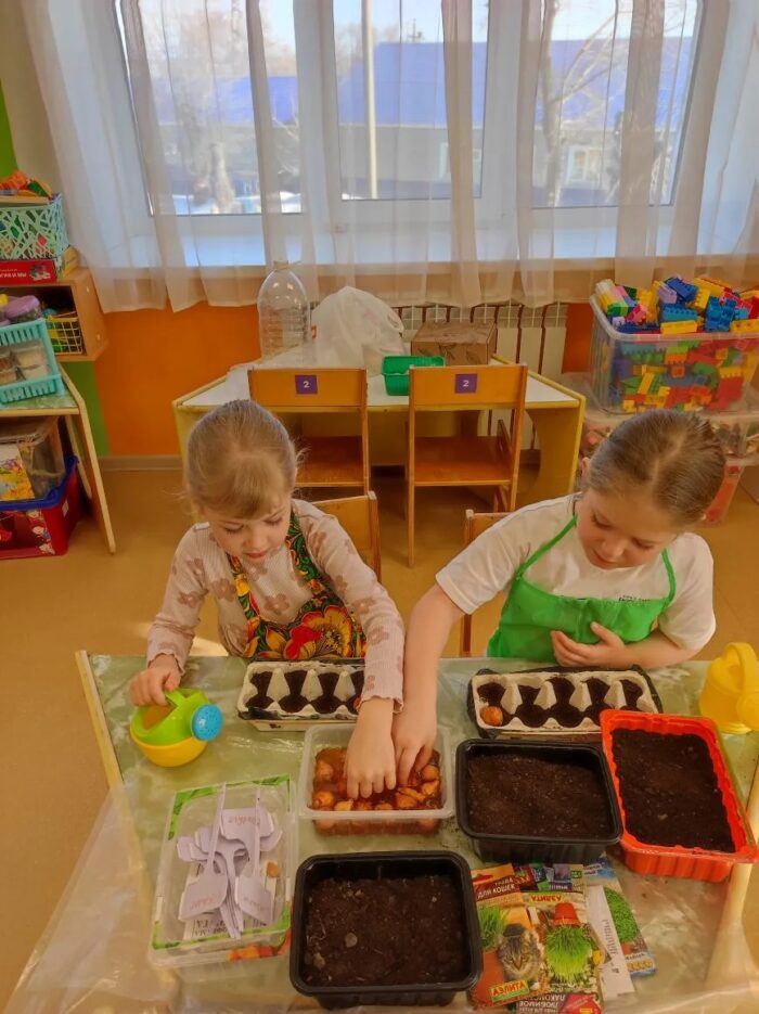 создание огорода в детском саду (10)