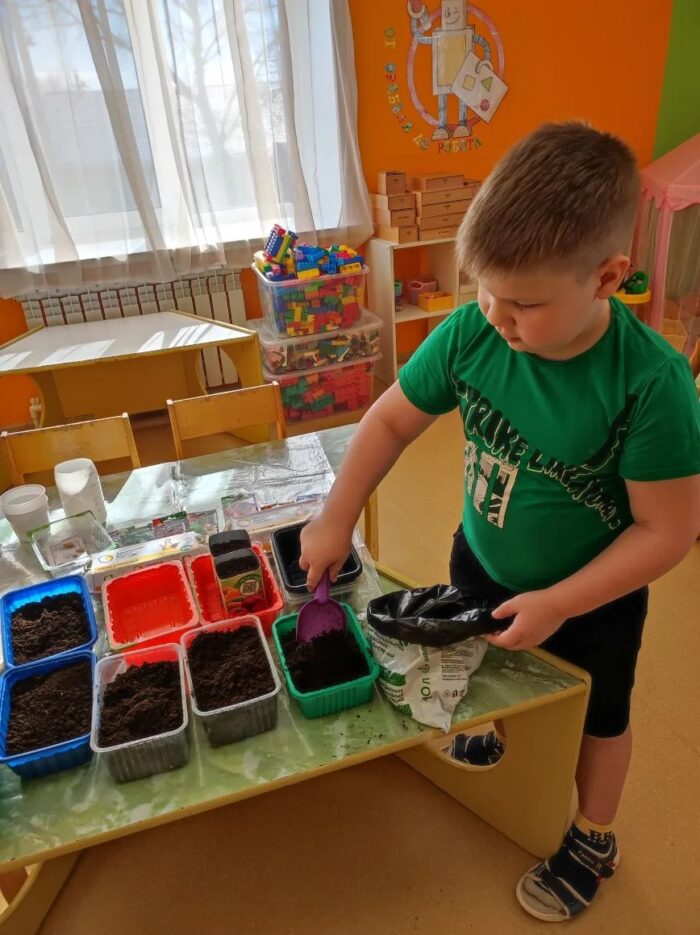 создание огорода в детском саду (8)