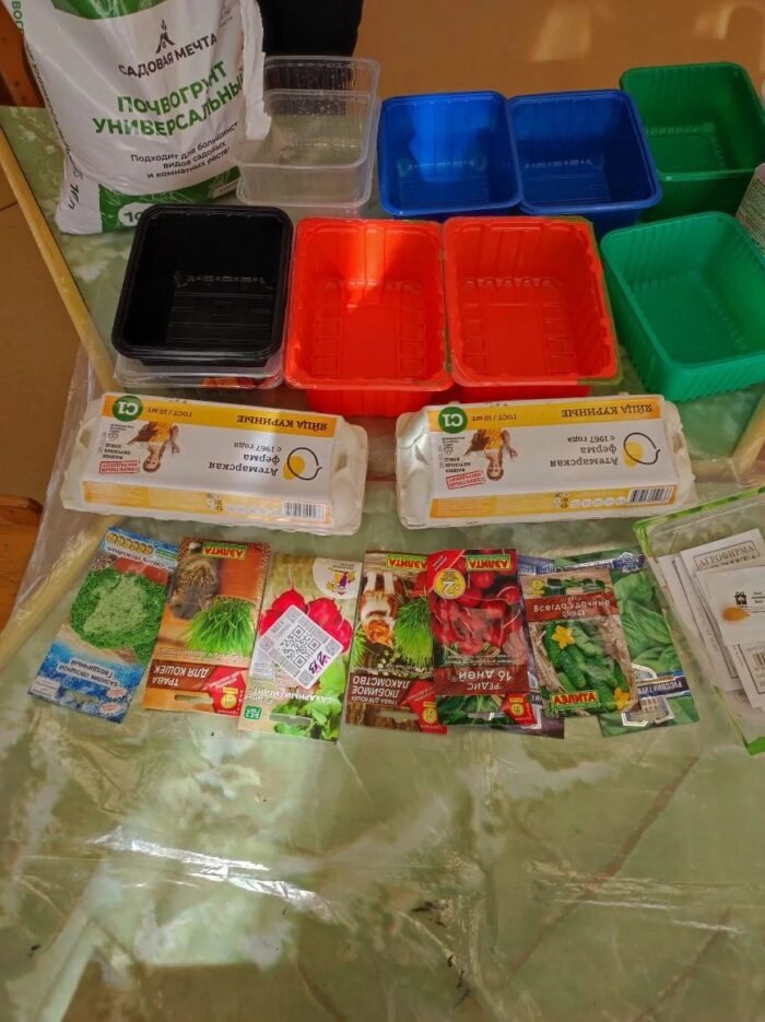 создание огорода в детском саду (9)