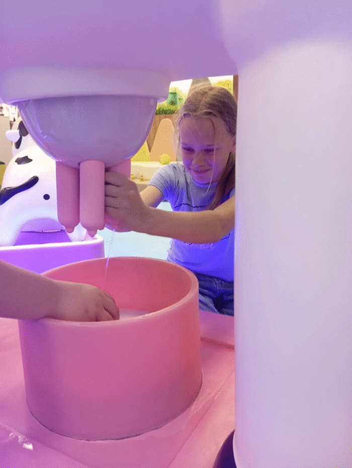 5 класс в батутном центре (6)