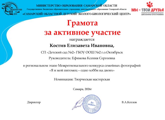 Костив Елизавета Ивановна
