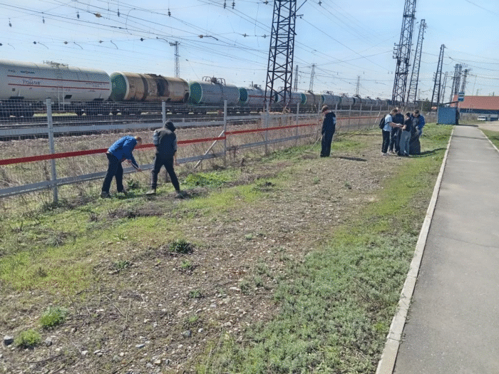 Экологический субботник Мы за чистоту (10)