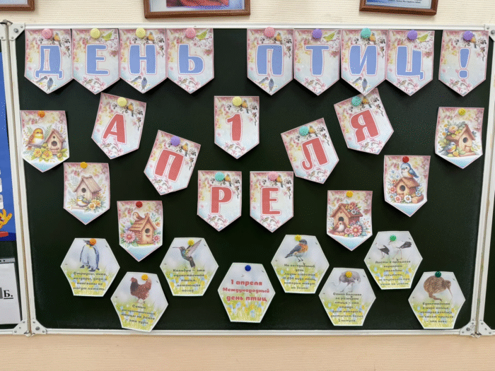 акция день птиц (8)