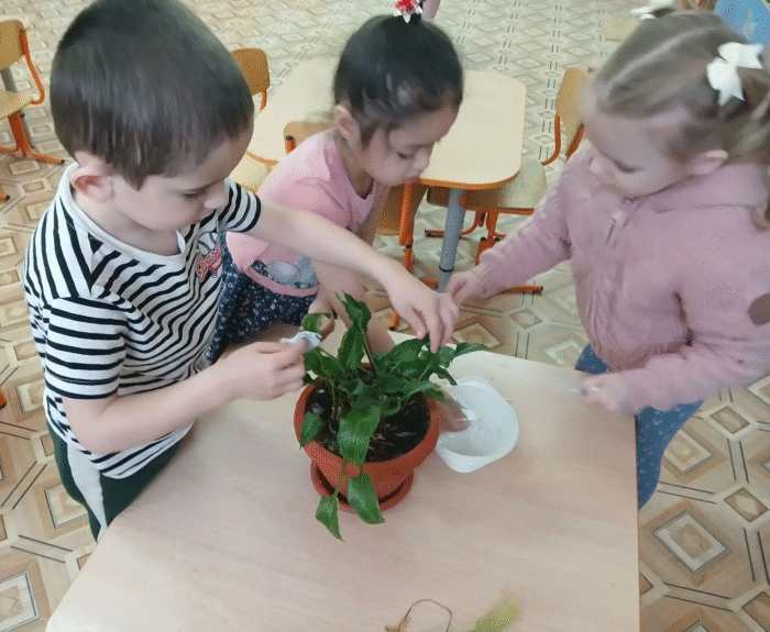 день эколят в саду (4)
