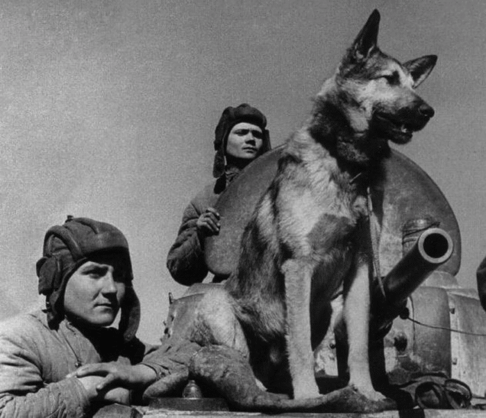 мероприятие 6 класс (4)