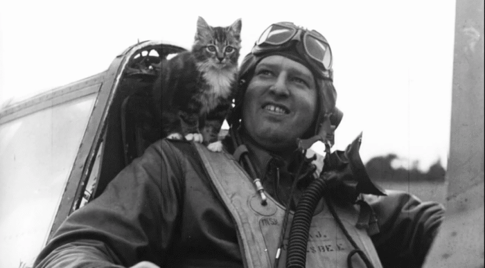 мероприятие 6 класс (6)