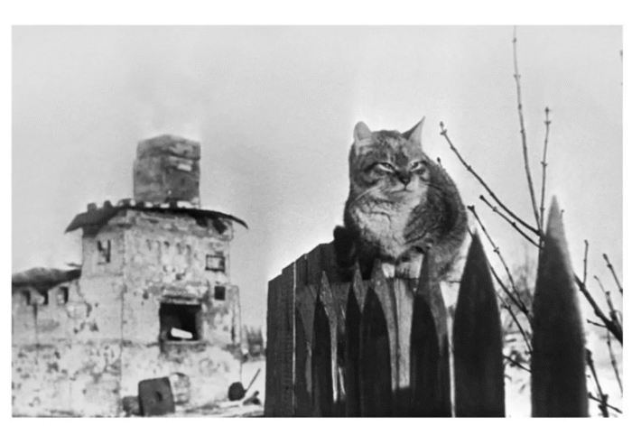 мероприятие 6 класс (7)