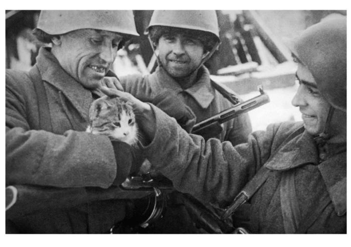 мероприятие 6 класс (9)