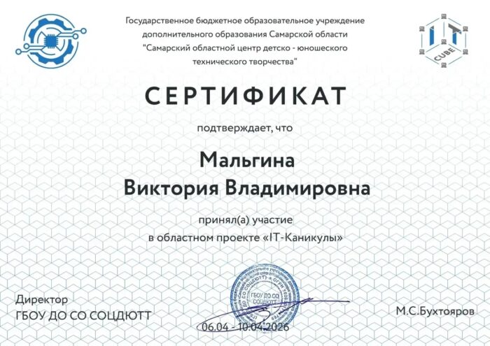 сертификаты областной проект «IT каникулы» (2)