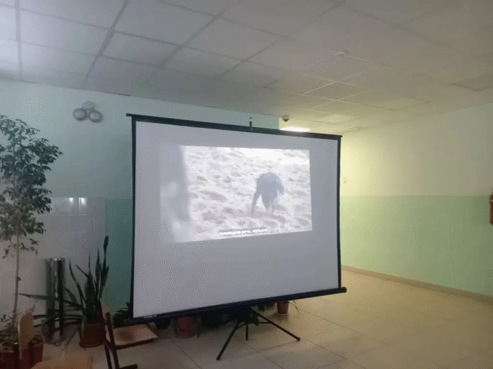 Кинолекторий (5)