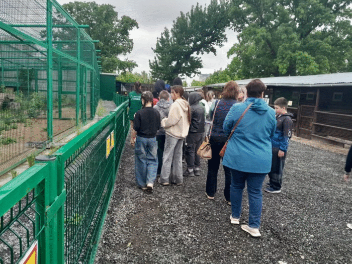 выпускной у 4 класса (4)