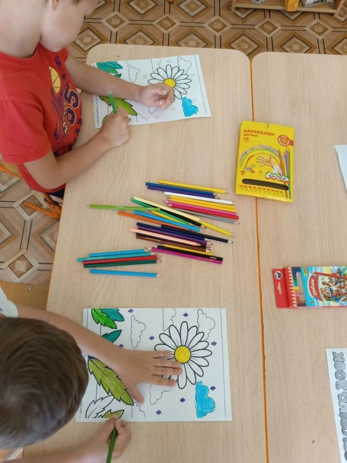 день ромашек (5)