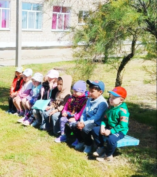 дор.безопасность (1)
