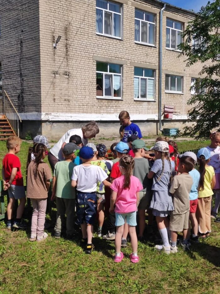 дорожная безопасность (2)